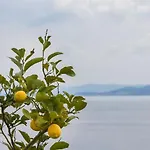 Babaja