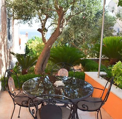 Babaja Τρογκίρ